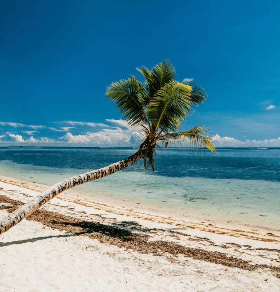 在海边怎么拍婚纱照？海边婚纱照怎么拍？